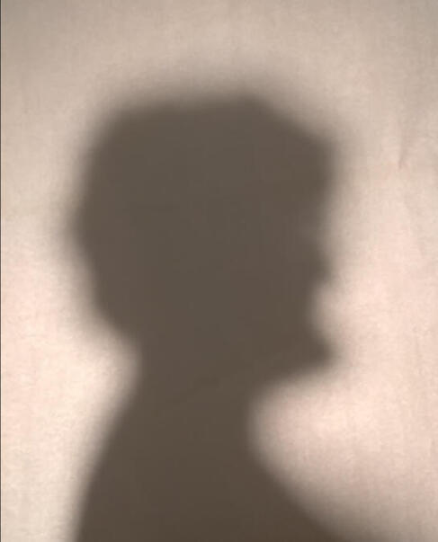 A photo of a shadow of the profile of a person with a strong chin and curly hair against a light colored wall.